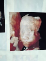 -郑州万安妇产医院