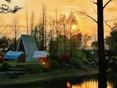 -铁山坪森林公园