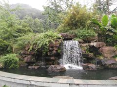 -东天目山风景区