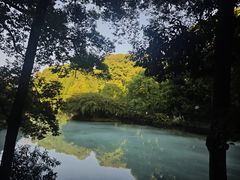 -忠山公园