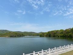 -佛手湖郊野公园