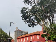 -马六甲鸡场街