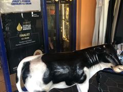 -Dooley's Premium Ice Cream