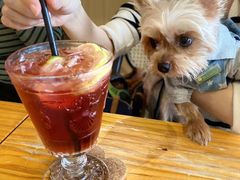 -LOOKA COFFEE(大鹏所城店)