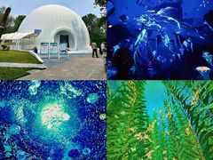 -南戴河国际娱乐中心