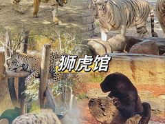 -北京野生动物园