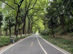 -采石矶景区