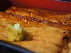 -料亭菊水楼