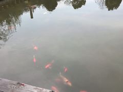 -天目湖涵田半山温泉