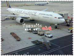 -新加坡航空公司(ION)