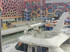 -招商蛇口邮轮母港(观光客运)