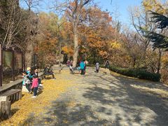 -北京鹫峰国家森林公园