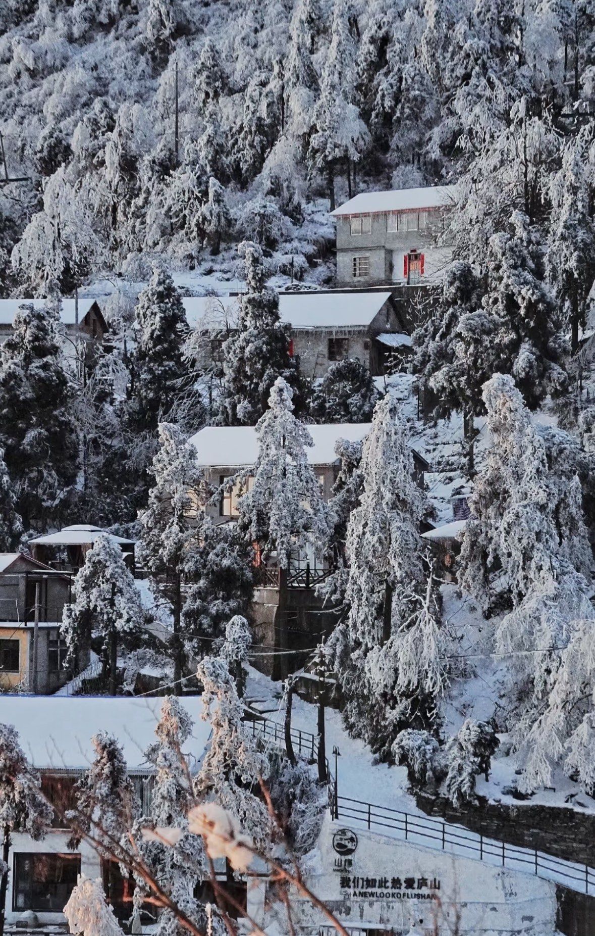 江浙沪雪景