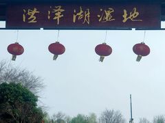 -泗洪洪泽湖湿地景区