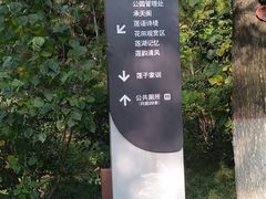 -莲湖公园