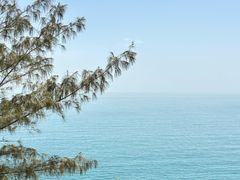 -广东惠东海龟国家级自然保护区