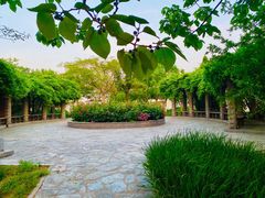 -南开大学滨海学院