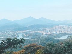 -风云岭森林公园