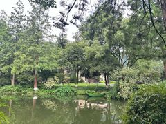 -杭州花家山庄