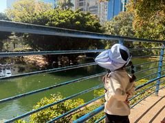 -九龙公园