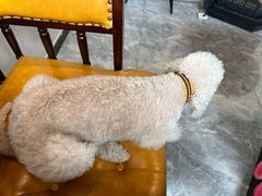 -红井路游艺炖锅·音乐餐吧(十渡店)