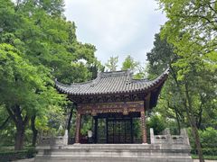 -汇龙潭