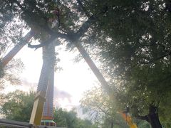 -哈尔滨文化公园