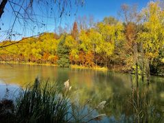 -昆山城市生态森林公园