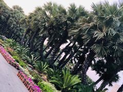 -东芭乐园