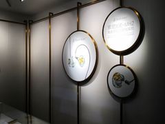 -Sony Store 索尼(上海淮海中路店)