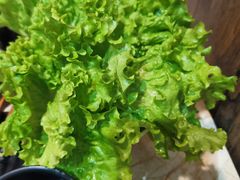 -贺野·自助炭火烤肉(紫藤路店)