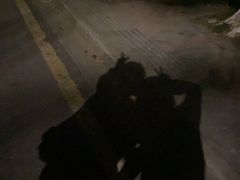 -杨氏青龙虾·羊蝎子(托乐嘉店)