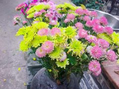 -园林美食城·本土农家菜(杨和镇店)