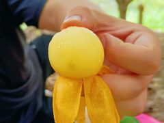 -塘栖枇杷特色园区