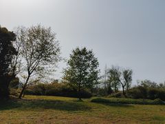 -良渚古城遗址公园