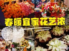 -宜家家居(四元桥商场店)