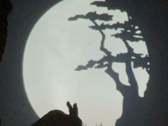 -盖碗儿梨园·变脸吐火·川剧(天府广场店)