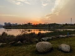 -九龙湖公园