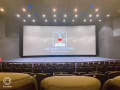放映厅-幸福蓝海国际影城(西安立丰店)