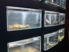 -鱼翅楼·津派砂锅鱼翅(水上公园店)