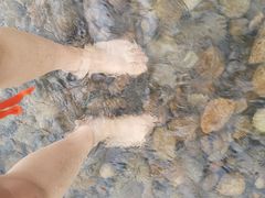 -楠溪江风景名胜区