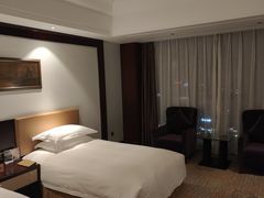-合肥丰大国际大酒店