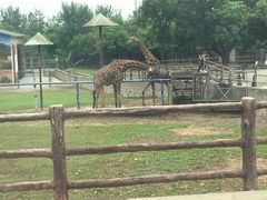 -西安秦岭野生动物园