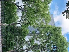 -阿什福德城堡大酒店-停车场