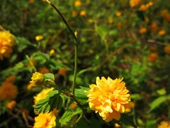 -青州市云门山风景区