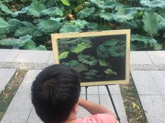 -达活泉公园