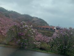 -河口景区