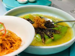羊肚菌烩圣瓜-松云泽