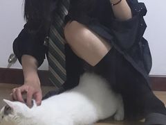 -宠爱国际动物医院· 猫科· 外科·中兽医(长白店)