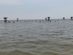 -碧海金沙